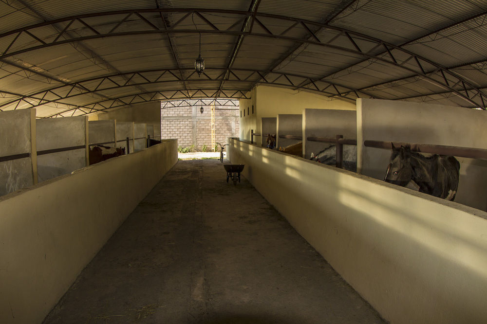 Hotel Teoticamp San Juan Teotihuacán Zewnętrze zdjęcie